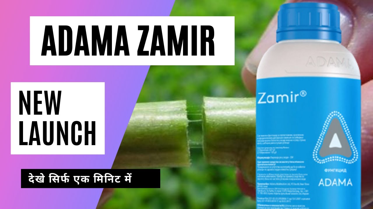 ADAMA ZAMIR FUNGICIDE Technical YouTube