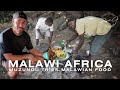 Malawi Africa Food Adventure Trying African Food With Locals Malawi Africa Food Adventure Trying African Food With Locals