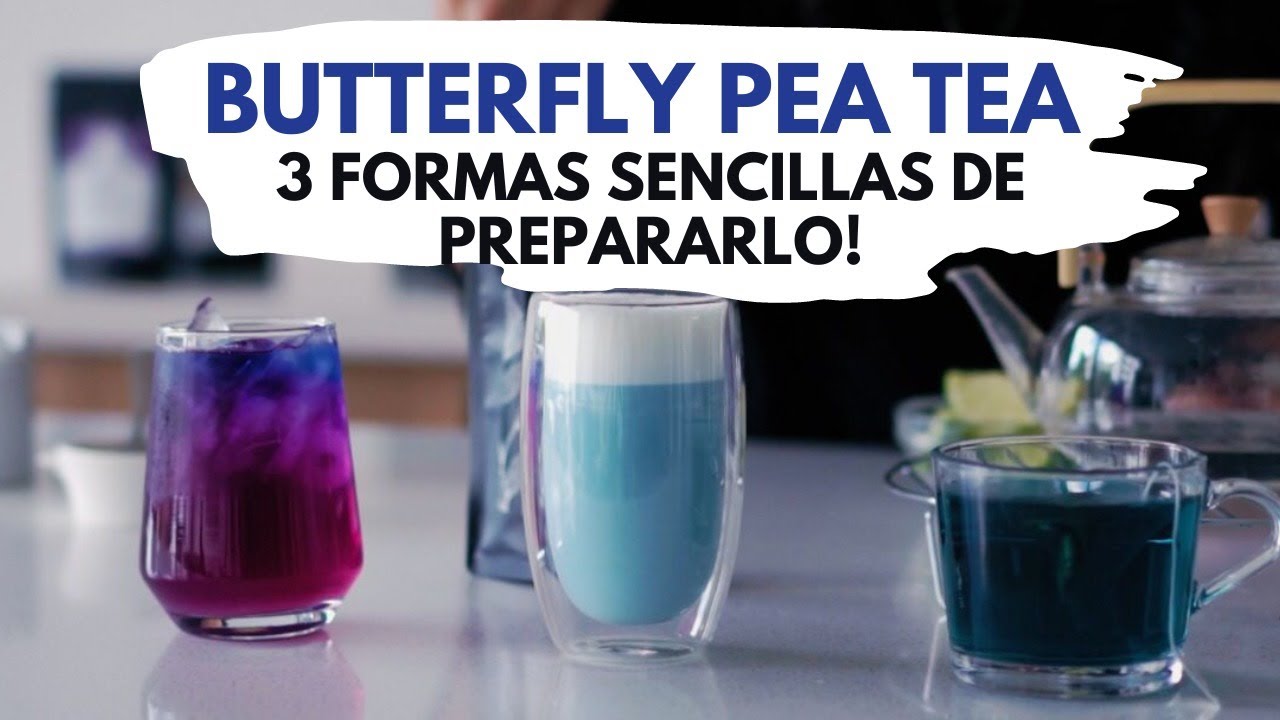 3 FORMAS DE PREPARAR BUTTERFLY PEA TEA | TEA LEA