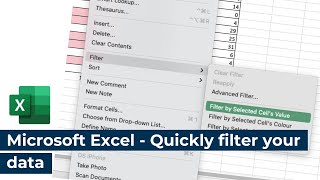 Microsoft Excel - Quickly filter your data