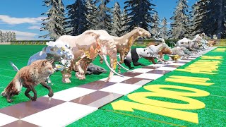 45 Wild Animals Roaring Race and Clash in an Epic Battle for Racing! by CookieNey 370,582 views 11 months ago 4 minutes, 21 seconds