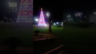 Peio De Trenzinho , Ano De 2024