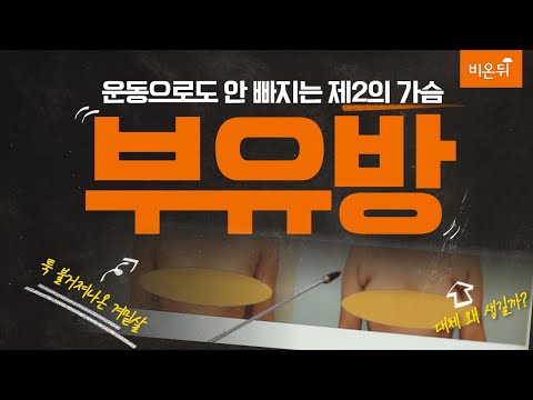 부유방, 병원에서는 어떻게 제거할까? (이미지 성형외과 이홍기 원장&amp;amp;이고은PD)