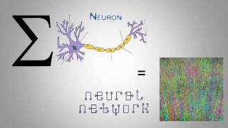 Emergent Reality - Cell Colonies
