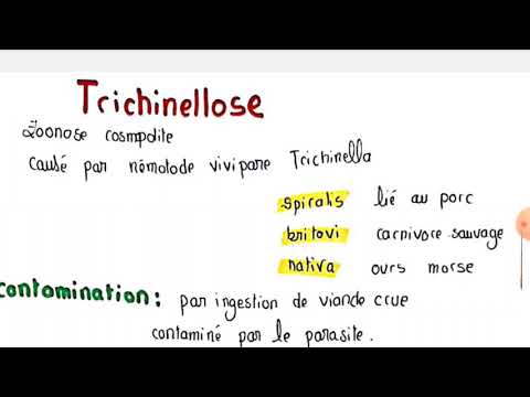 🔮7 - trichinellose nematode a transmission oral (per os)