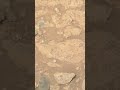 Sol 1,777: Right Mastcam-Z saw a Mars that words can't describe 😨🔴 #nature