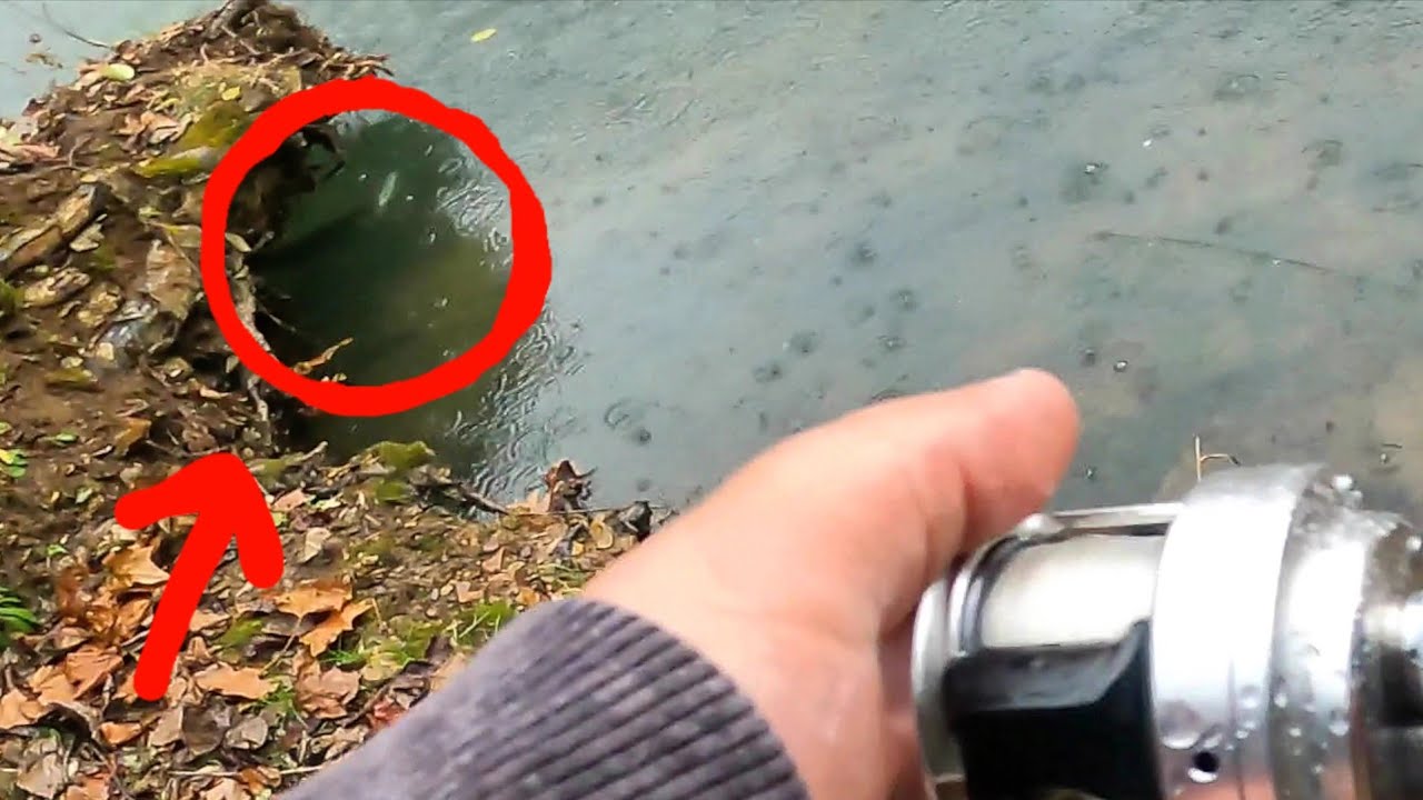 GIANT SMALLMOUTH Bass eats $300 GLIDE BAIT! Roman Made Negotiator!