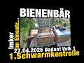 Schwarmkontrolle Dadant Volk 1 vom 27.04.2025 #dadant #bienenbär #bees