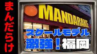 え！？まんだらけさんってスケールモデル激強なの？の巻【お店紹介＃24】