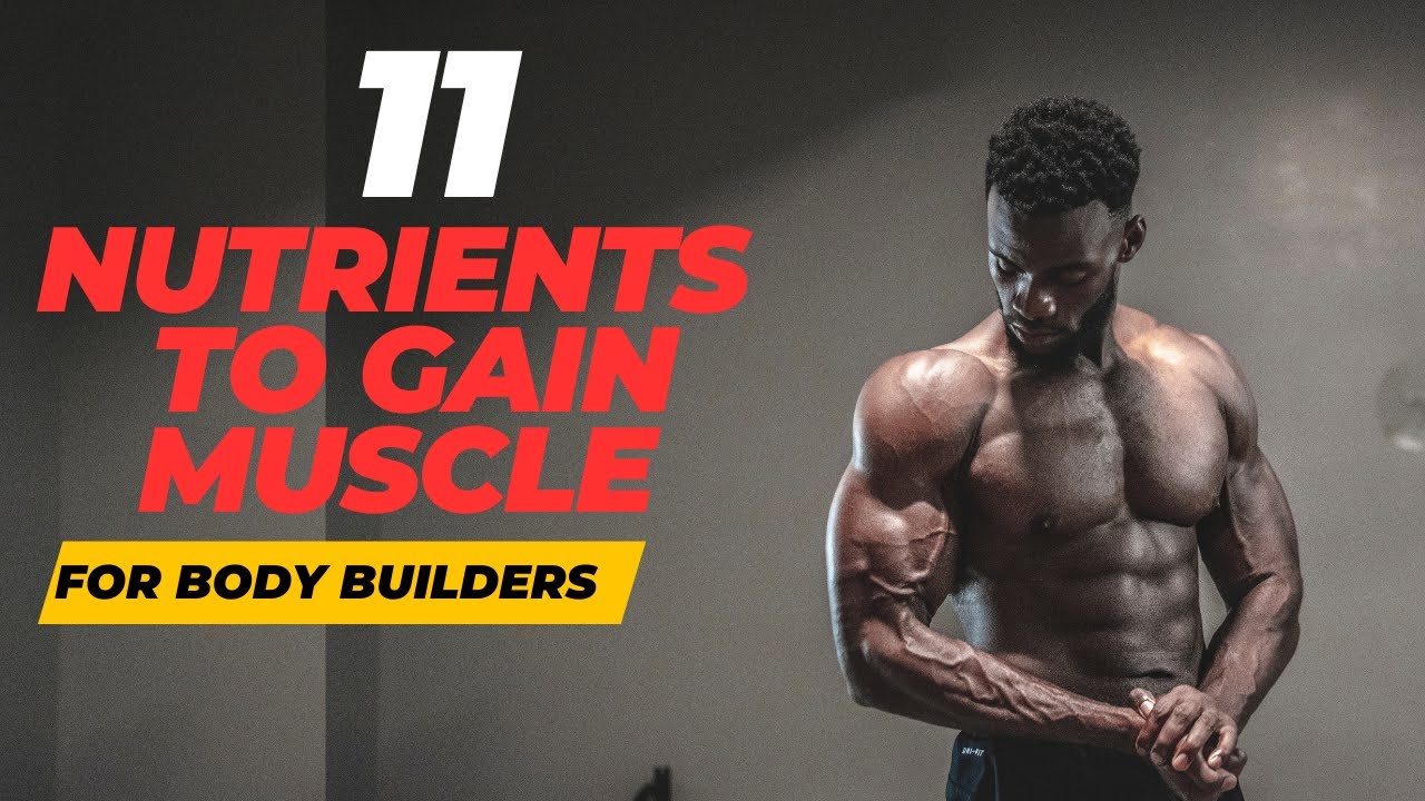 11 Nutrients your body needs to build muscle [ Natural ] - YouTube