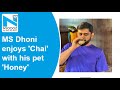 MS Dhoni clicked by Sakshi while enjoying a glass of chai with his ‘Honey’
