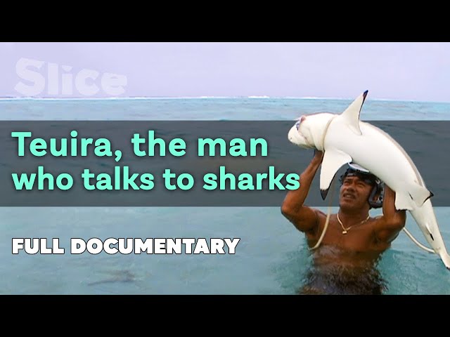 Teuira, the man who talks to sharks | SLICE | Full documentary