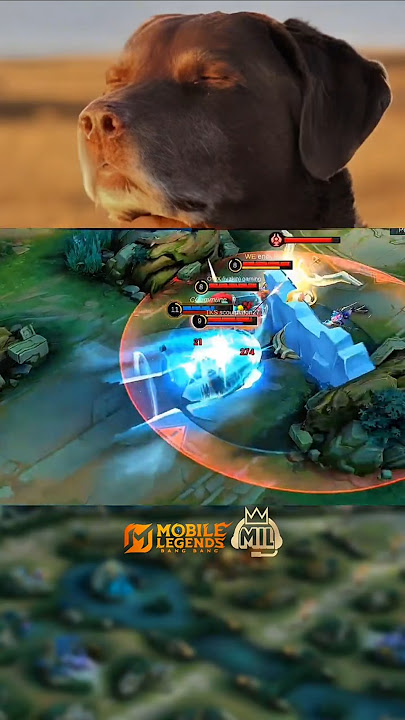 This new Flicker Combo is annoyingπ | MLBB