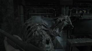 Morgue Puzzle Dissection Room Key Item RE7