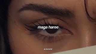 maga haree (slowed+reverb)
