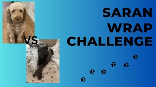 Cat Vs Dog, The Saran Wrap Challenge
