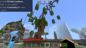 Hacker flying in pvp (primegames)