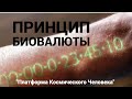 ПРИНЦИП БИОВАЛЮТЫ: &quot;Платформа Космического Человека&quot;. В. М. Бронников