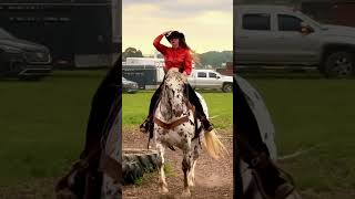 I still can’t believe how all of this played out with this Auction Horse! #appaloosacross