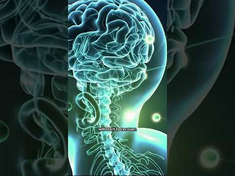 Earthing Movie -