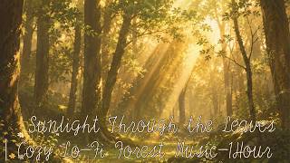 Sunlight Through the Leaves | Cozy Lo-Fi Forest Music - 1 Hour screenshot 5