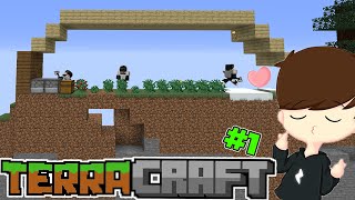 Dunia Minecraftku Jadi 2 DIMENSI? - TerraCraft #1