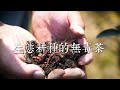 【台灣茶路】大茶農時代~生態耕種的無毒茶「慈峰賴永富」