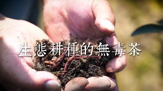 【台灣茶路】大茶農時代~生態耕種的無毒茶「慈峰賴永富」 