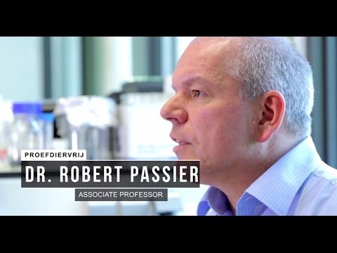 LUMC: interview dr. Robert Passier
