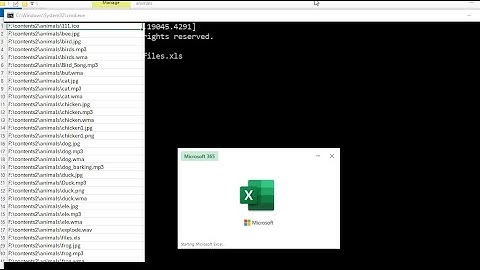 How to export results from command prompt (#cmd) to Excel file