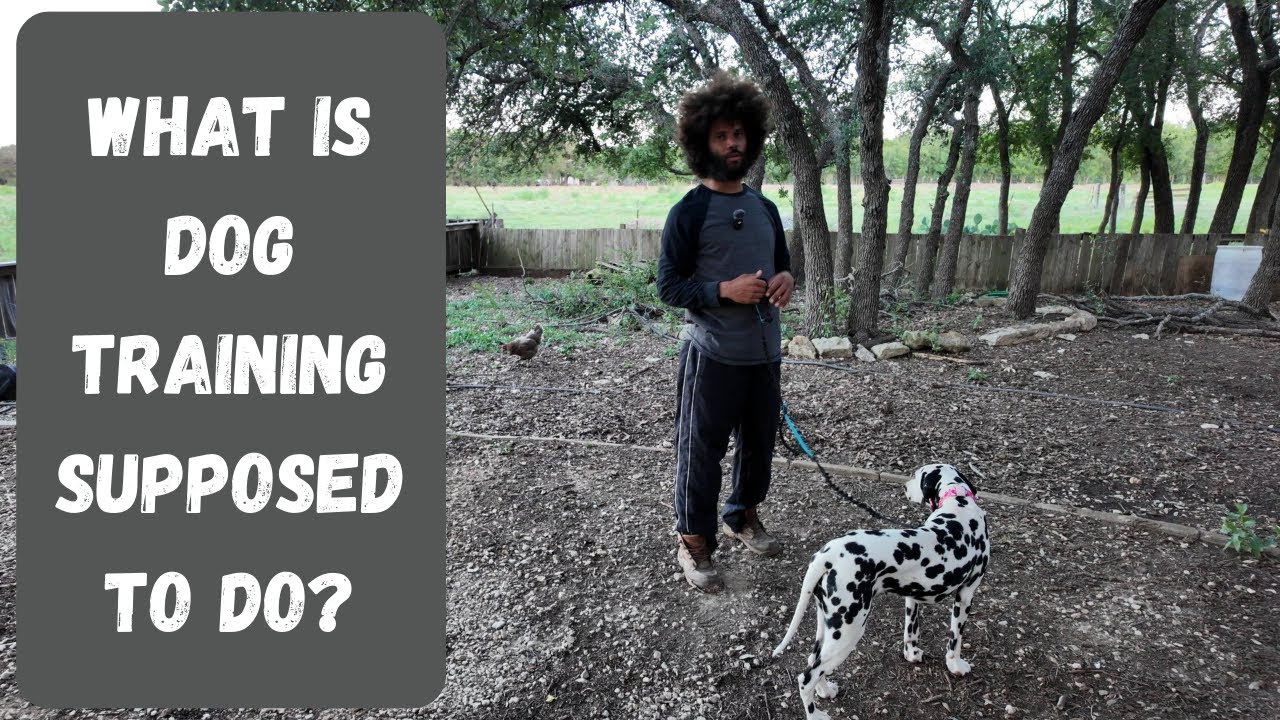 What Is Dog Training Supposed To Do YouTube What Is Dog Training Supposed To Do YouTube