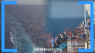 Search underway for woman who jumped overboard | NewsNation Prime