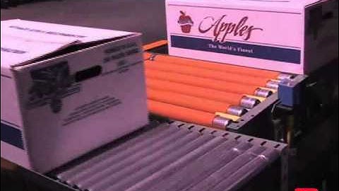 Roach Conveyors Indexing Conveyor