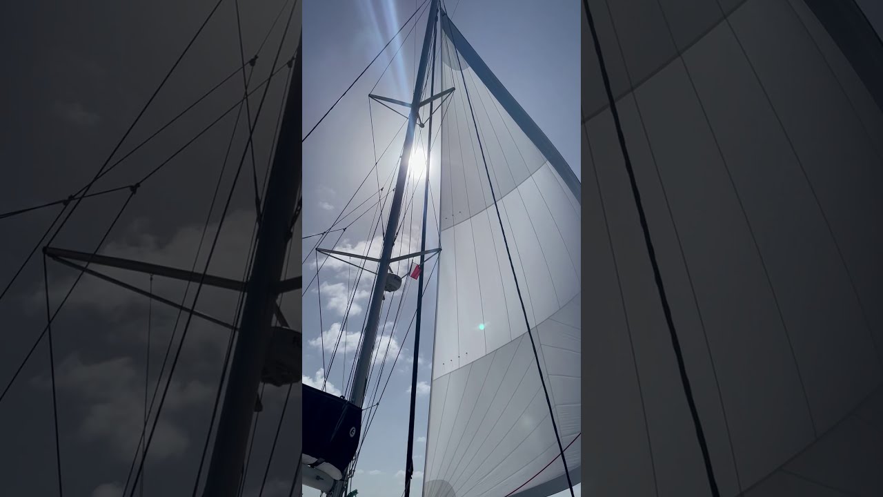 Downwind with code0 and no mainsail