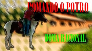 POR FORA DO BICHO | DOMANDO UM POTRO - TRABALHANDO COM UM POTRO XUCRO - DESDE O PASTO ATÉ A MONTADA