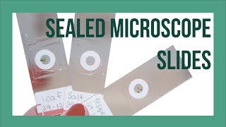 Sealed Microscope Slides - DIY Semi-Permanent Microscope Slides!