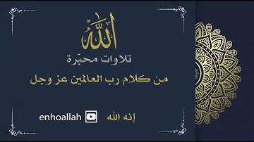 تلاوة سورة المسد للقارئ الشيخ أحمد النفيس