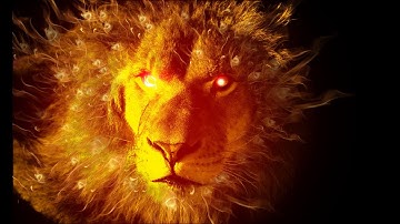 BitConnect is not a scam!! Part 2. 1st anniversary ceremony offer.