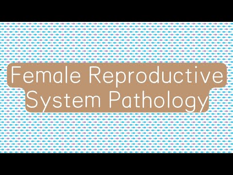 FGT 6 | Preeclampsia & Eclampsia (Toxemia of Pregnancy)