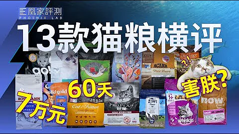 畅销猫粮反而 “有毒” ？花6万检测13款猫粮替你避雷 | 凰家实验室 - 天天要闻