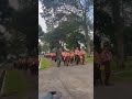 anak pramuka di latih sama om tentara #kesehariansekolah #sekolah #siswaaktif #pramuka #shorts