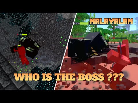 Warden vs Wither || #Malayaleescraft
