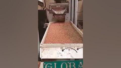 Gravity separator for peanut