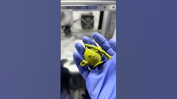 Jellycat Amuseable Olive Buddies!!! 🫒 Follow on MakerWorld: Turnerjordan #makerworld #3dprinting