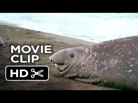 Adventures Of The Penguin King Movie CLIP - It's Spring! (2013) - Tim Allen Documentary HD