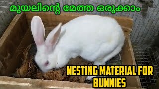 Rabbit breeding | Rabbit breeding box | Rabbit nesting material #rabbitfarming #rabbitfood