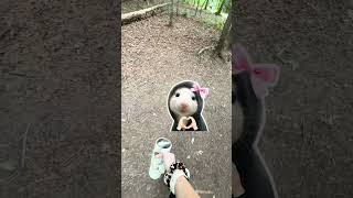 Hiking, Breakfast & Unexpected Wildlife 🐍 | Creation Falls Day Trip