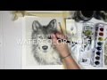 How to paint a Watercolor wolf