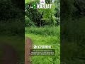 Premium 22 Acre Agriculture Land for Sale in Karjat.