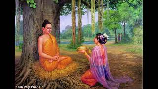Cuộc Đời Đức Phật Thích Ca Mâu Ni (BUDDHA) - Phần 2